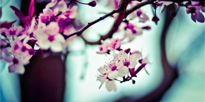 PSK开发区34：企业服务与产业生态的深度融合，打造新时代工业园标杆