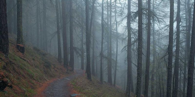 PSK开发区6：打造新时代智慧工业园，赋能企业孵化与高效园区管理