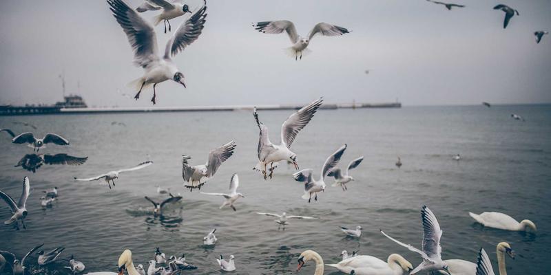 PSK开发区场景化应用示范项目申报指南：聚焦5G、AI与物联网赋能智慧园区管理