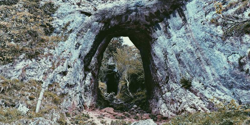 PSK开发区运营实战：企业孵化与商业服务的创新融合之道