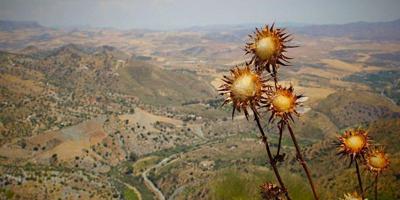 从传统制造到智慧集群：PSK开发区数字化转型路径深度解析